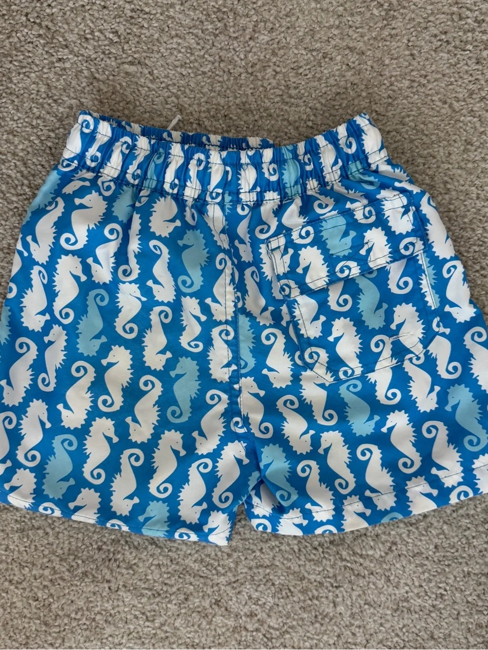 Flap Happy Toddler Swim Trunks - Set of 2-Seahorse Blue & Surfboard Teal size 4
